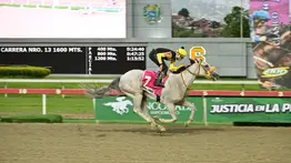 ¡Camino al segundo paso! Cinco rivales de postín desafían el favoritismo de Mora Linda en el óvalo de Coche