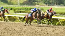 La velocidad está de vuelta en el 5y6: El ejemplar más rápido del lote retorna este domingo a La Rinconada