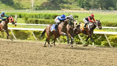 La velocidad está de vuelta en el 5y6: El ejemplar más rápido del lote retorna este domingo a La Rinconada La velocidad está de vuelta en el 5y6: El ejemplar más rápido del lote retorna este domingo a La Rinconada