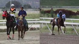 ¡Debut de estirpe! Una hija de Manchester y Carontes se estrena en La Rinconada