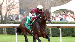 Magnitud reta al favorito principal en el Stephen Foster Stakes (G1) con una bolsa de 2 millones de dólares