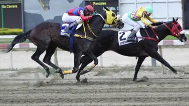 Linaje de oro en La Rinconada: Hijo del campeón del Caribe y líder semental debuta en la R27 Linaje de oro en La Rinconada: Hijo del campeón del Caribe y líder semental debuta en la R27