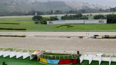 Este ejemplar conducido por Jaime Lugo Jr. se lució en su ejercicio de preparación del Clásico José Antonio Páez