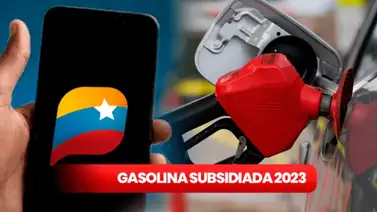 ¿Cómo registrar tu vehículo a través del sistema Patria? El requisito es indispensable para el subsidio de gasolina ¿Cómo registrar tu vehículo a través del sistema Patria? El requisito es indispensable para el subsidio de gasolina
