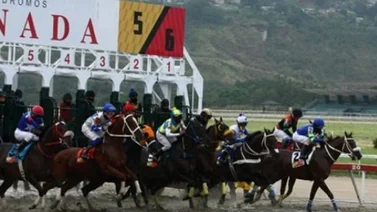 Estos son los inscritos para la reunión 23 de este domingo en La Rinconada