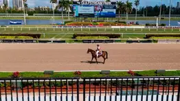 Datos de Última Hora para Gulfstream Park 9-9-2023