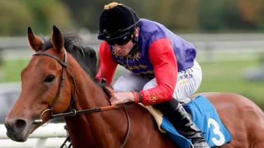 Estos son los ejemplares del Rey Carlos III que competirán en Royal Ascot