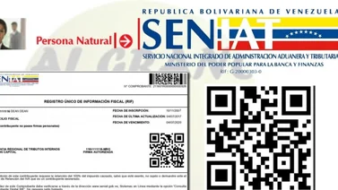 De manera fácil y sencilla puedes obtener tu RIF digital (+Pasos)