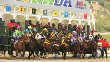 Esta yegua montada por Hemirxon Medina reaparece luego de 105 días sin correr