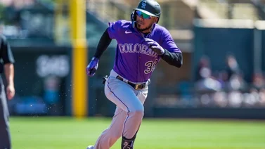 MLB: Así fue el primer jonrón de la temporada para Harold Castro (+Video)