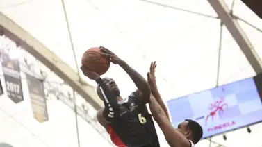 Panteras-Guaros y Guaiqueries-Trotamundos definirán la Copa LPB Panteras-Guaros y Guaiqueries-Trotamundos definirán la Copa LPB