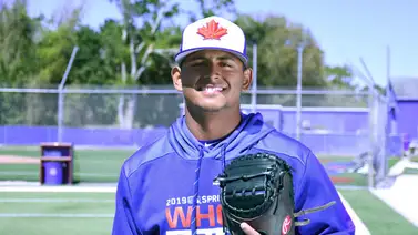 Azulejos tienen todos los ingredientes para pelear en los playoffs Azulejos tienen todos los ingredientes para pelear en los playoffs