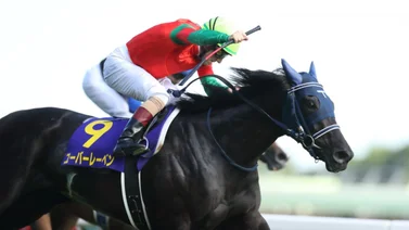 Sodashi irá por la revancha en el Shuka Sho G1