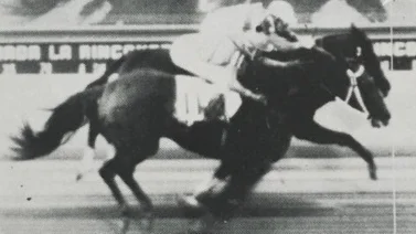 Estos han sido los caballos argentinos que han ganado el Clásico Internacional Simón Bolívar (GI) (+Listado)