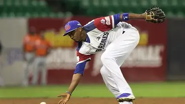 Tres grandeligas a saltar el agua junto a Tiburones Tres grandeligas a saltar el agua junto a Tiburones