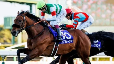 Efforia se consagra como caballo del año en Japón