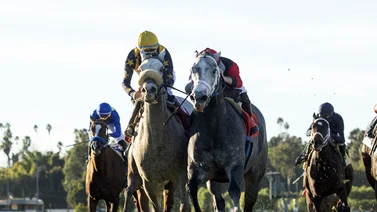 Zero Tolerance conquistó Las Ciénagas Stakes en final dramático