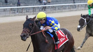 ¿Podrá algún entrenador presentar a los caballos de Baffert en el Kentucky Derby?