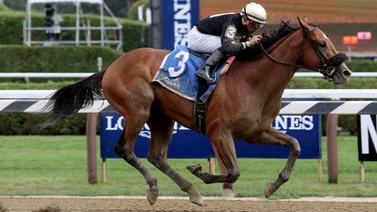 Cyberknife es la carta fuerte de Brad Cox para el Kentucky Derby 2022
