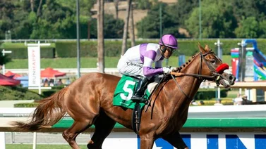 Epicenter, Smile Happy, y Slow Down Andy con la mira puesta en el Kentucky Derby