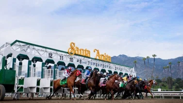 Simulcast: Santa Anita 15/01/2022