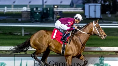 Nueve prospectos por el Lecomte Stakes GIII