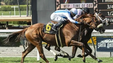 Neige Blache con la mesa servida para el Astra Stakes