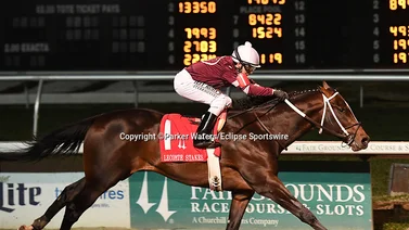 Midnight Bourbon busca desquite ante Madaloun en el Louisiana Stakes