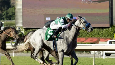 Simulcast Santa Anita 22/01/2022
