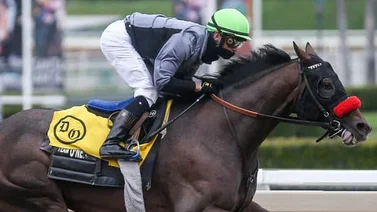 Simulcast Aqueduct 22/01/2022