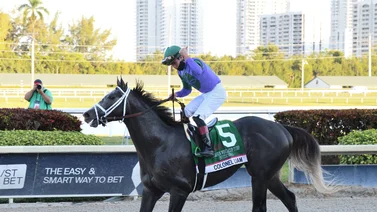 Colonel Liam busca repetir en la Pegasus World Cup Turf