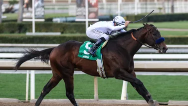 Life Is Good sale por el puesto cuatro en la Pegasus World Cup 2022