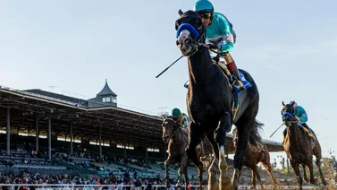 Newgrange será la carta de Baffert para el Southwest Stakes G3