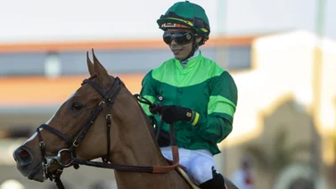 Regal Glory es la principal candidata para la Pegasus Filly & Mare Turf G3