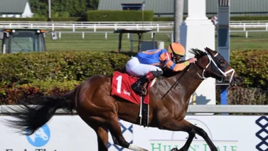 Always Shopping irá por La Prevoyante Stakes G3