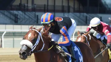 Datos de las carreras americanas (Simulcast Gulfstream Park 19/02/2022) Datos de las carreras americanas (Simulcast Gulfstream Park 19/02/2022)