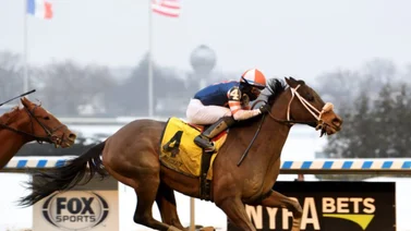 Datos de las carreras americanas (Simulcast Aqueduct 19/02/2022)