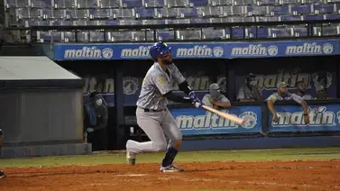 Leones y Magallanes realizan cambios para la próxima temporada Leones y Magallanes realizan cambios para la próxima temporada