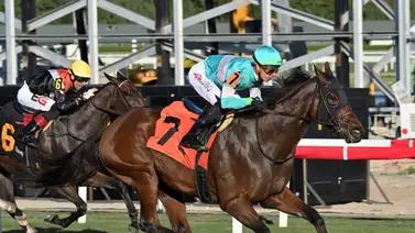 Datos de las carreras americanas (Simulcast Gulfstream Park 12/03/2022) Datos de las carreras americanas (Simulcast Gulfstream Park 12/03/2022)