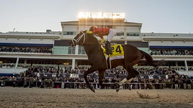 Life Is Good calienta motores para la Dubai World Cup 2022