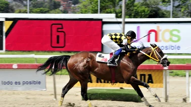 El Gran Ciclón con todo en orden para debutar en La Rinconada