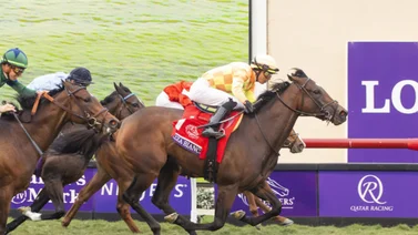 Pizza Bianca reaparece en el Memories Of Silver Stakes de Aqueduct