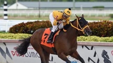Debut victorioso de Juan Carlos Ávila en Monmouth Park