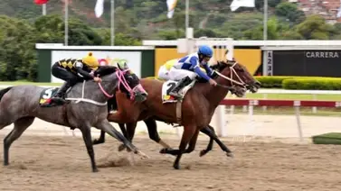 Lyndacarter y Philomena protagonizan el primer paso de la Triple Corona de yeguas en La Rinconada Lyndacarter y Philomena protagonizan el primer paso de la Triple Corona de yeguas en La Rinconada