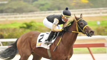 Mamá Yeya busca desquite en la octava carrera de La Rinconada