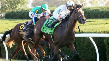 Datos de las carreras americanas (Simulcast Belmont 24/06/2022)