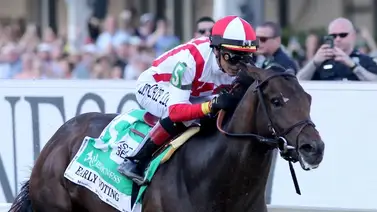 El ganador del Preakness Stakes podría reaparecer a finales de julio El ganador del Preakness Stakes podría reaparecer a finales de julio