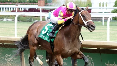 Shedaresthedevil quiere mantener el ritmo victorioso en Del Mar