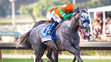 Datos de las carreras americanas (Simulcast Santa Anita 01/10/2022)