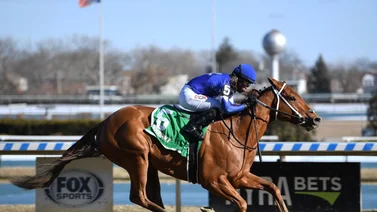 Datos de las carreras americanas (Simulcast Belmont At The Big A 08/10/2022)
